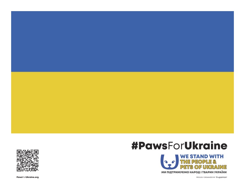 Preview image of Paws for Ukraine window sign